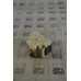 ABB VDE-0660 CIRCUIT BREAKER 16AMP 1POLE 270/480V
