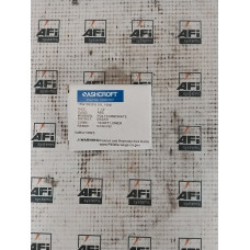 15W1005PH 01L 100 Ashcroft 15W1005PH 01L 100 Ashcroft