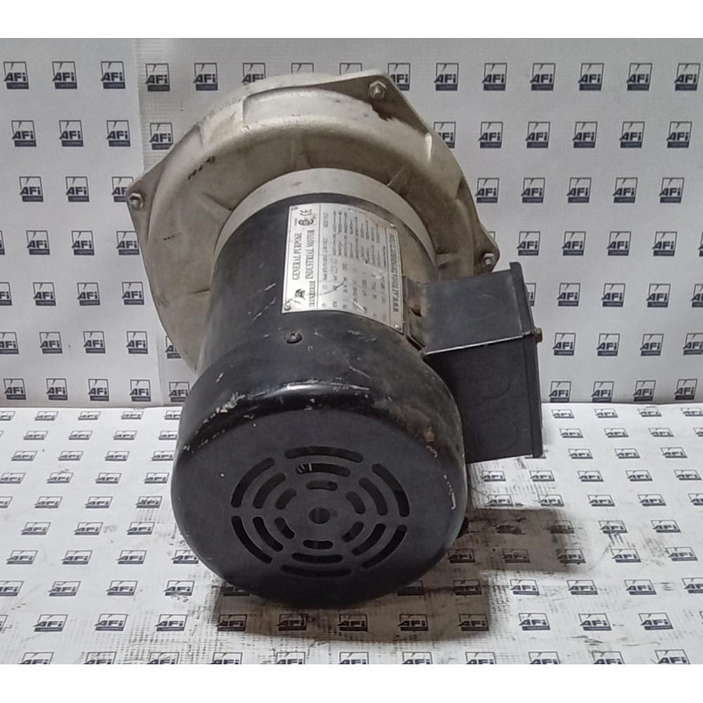 INDUCTION MOTOR IRONHORSE