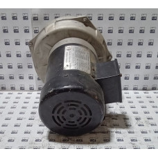 MTR-P50-3BD36 Automation Direct