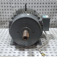 DB160L Brook Crompton