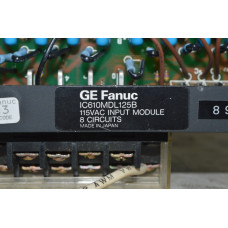 IC610MDL125 GE Fanuc
