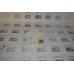PHOENIX CONTACT SD-US-SC-LA-GY CABINET SOCKET TERMINAL BLOCK