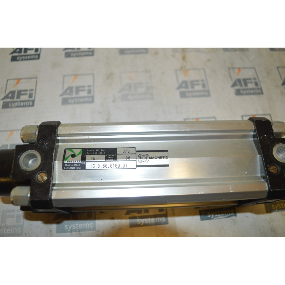 PNEUMAX 1319-50-0100-01 Pneumatic cylinder
