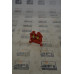 Phoenix Contact IEC947-7-1 TERMINAL BLOCK