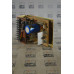 BODINE ELECTRIC PC B PC BOARD